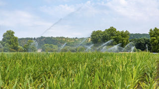 "Il sera de plus en plus difficile de cultiver sans irrigation l'été", estime Jean-Michel Soubeyroux, climatologue à Météo-France. "Il sera de plus en plus difficile de cultiver sans irrigation l'été", estime Jean-Michel Soubeyroux, climatologue à Météo-France.