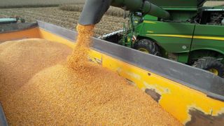 Selon l'analyse hebdomadaire de Tallage, les cours reculent pour le blé, l’orge et le maïs, alors que ceux des oléagineux se stabilisent. Selon l'analyse hebdomadaire de Tallage, les cours reculent pour le blé, l’orge et le maïs, alors que ceux des oléagineux se stabilisent.