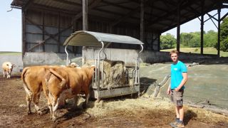 Dans la ration de base des vaches de Maxence Meunier, le maïs a été détrôné par lherbe pâturée et récoltée. En bâtiment, l'alimentation en libre-service limite lastreinte de léleveur. Dans la ration de base des vaches de Maxence Meunier, le maïs a été détrôné par lherbe pâturée et récoltée. En bâtiment, l'alimentation en libre-service limite lastreinte de léleveur.