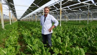 Pierre Espigue, maraîcher à Tarascon, cultive depuis ce printemps blettes, salades, épinards et courgettes sous une centrale photovoltaïque. Pierre Espigue, maraîcher à Tarascon, cultive depuis ce printemps blettes, salades, épinards et courgettes sous une centrale photovoltaïque.