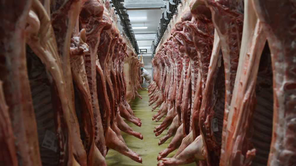 Le prix du porc a continué de reculer la semaine dernière au Marché du porc breton. Le prix du porc a continué de reculer la semaine dernière au Marché du porc breton.
