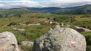 Après le mont Lozère, place au paysage émaillé de gigantesques blocs de granit. © A. Bréhier Après le mont Lozère, place au paysage émaillé de gigantesques blocs de granit. © A. Bréhier