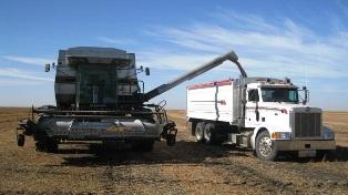 L'assurance récolte ne suffit pas pour assurer un revenu agricole en période de baisse de prix.