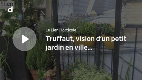 Vision d’un petit jardin en ville