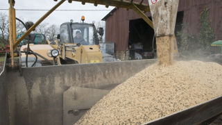 L'augmentation du cours des matières premières agricoles a engendré une flambée de 100 € par tonne de celui de d'aliment en moyenne, estime La Coopération Agricole nutrition animale. L'augmentation du cours des matières premières agricoles a engendré une flambée de 100 € par tonne de celui de d'aliment en moyenne, estime La Coopération Agricole nutrition animale.