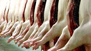 Selon Agreste, le porc français est moins dépendant du marché chinois que ses voisins européens. © Jérôme Chabanne Selon Agreste, le porc français est moins dépendant du marché chinois que ses voisins européens. © Jérôme Chabanne