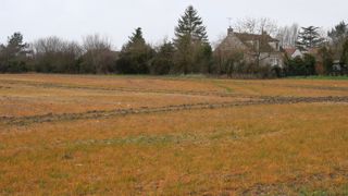 La réunion en appel du Scopaff du 15 novembre 2022 n'a pas abouti à la prolongation pour un an de l'approbation du glyphosate à l'échelle de l'Union européenne. La réunion en appel du Scopaff du 15 novembre 2022 n'a pas abouti à la prolongation pour un an de l'approbation du glyphosate à l'échelle de l'Union européenne.