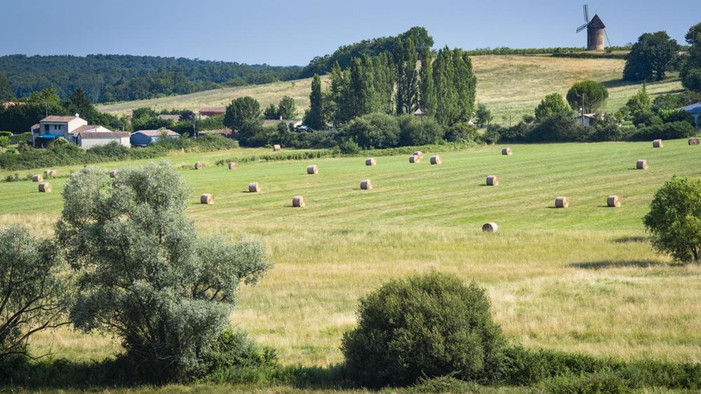 Le contournement des outils de régulation par les sociétés est la cible de la proposition de loi qui sera déposée officiellement mardi à l’Assemblée nationale. © Jean-Bernard Nadeau