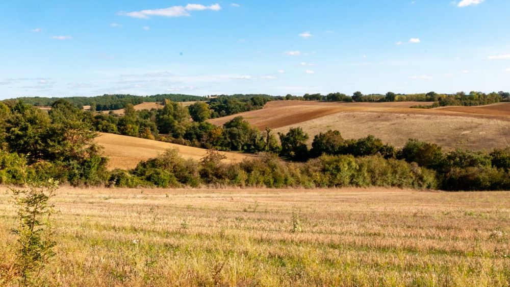 La proposition de loi foncière du député Jean-Bernard Sampastous satisfait la FNSEA, JA, la FNSafer et les chambres d’agriculture. © Agnès Massiot