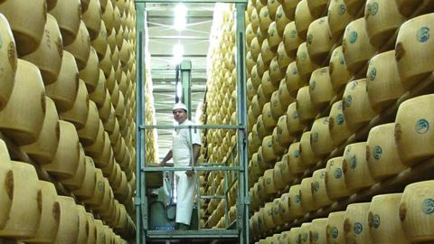 Parmiggiano reggiano. Parmesan IGP cave. © P. Bourdois