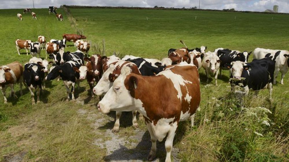 © Cédric Faimali/GFA