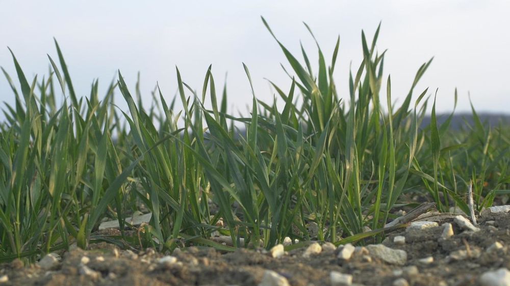 © Pascal Crapon/GFA