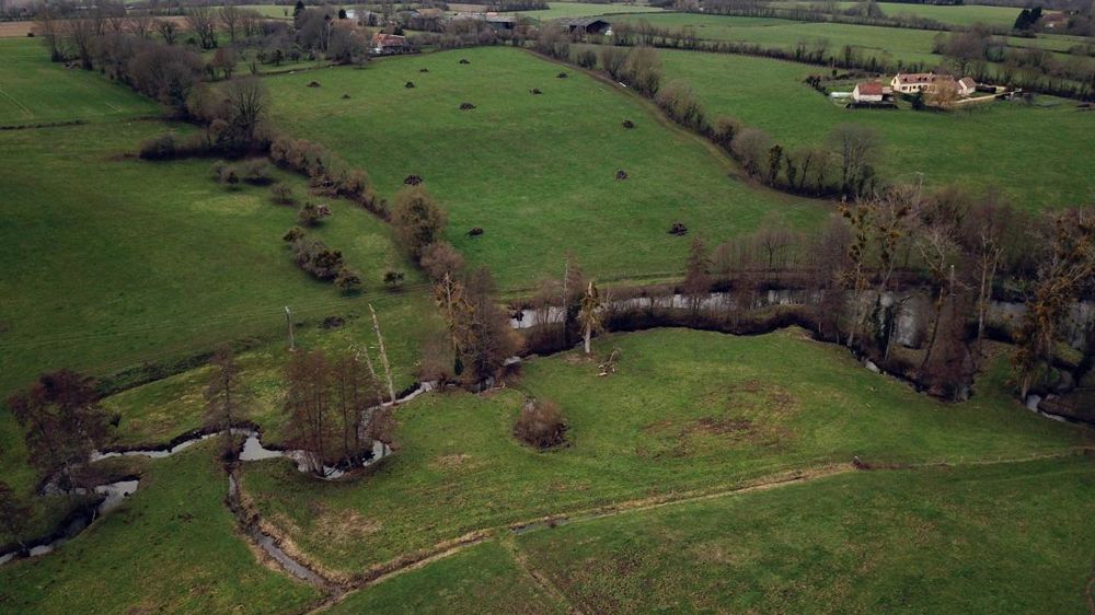 L’entretien du bocage est l’une des solutions abordée par le Campus des Sicaudières pour permettre la conciliation entre production agricole et protection de la biodiversité (photo d’illustration). © C. Faimali/GFA