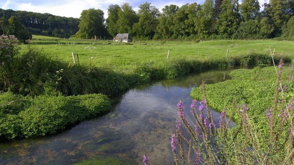 © Stéphane Leitenberger