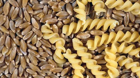 Le marché mondial du blé dur reste tendu du fait du niveau annoncé des stocks de fin de campagne. © Watier Visuel Le marché mondial du blé dur reste tendu du fait du niveau annoncé des stocks de fin de campagne. © Watier Visuel