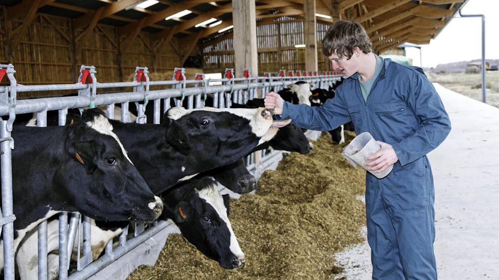 L’employeur peut bénéficier d’un coup de pouce maximal de 1 000 euros par trimestre pour l’embauche d’un jeune de moins de 26 ans, pour une durée de trois mois au minimum et avec une rémunération allant jusqu’à 1,6 Smic. © Watier-Visuel