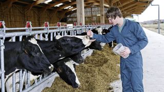 L’employeur peut bénéficier d’un coup de pouce maximal de 1 000 euros par trimestre pour l’embauche d’un jeune de moins de 26 ans, pour une durée de trois mois au minimum et avec une rémunération allant jusqu’à 1,6 Smic. © Watier-Visuel L’employeur peut bénéficier d’un coup de pouce maximal de 1 000 euros par trimestre pour l’embauche d’un jeune de moins de 26 ans, pour une durée de trois mois au minimum et avec une rémunération allant jusqu’à 1,6 Smic. © Watier-Visuel