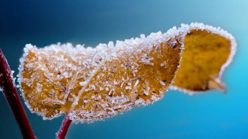 De nombreux records de froid ont été battus aujourd’hui, mardi 6 avril 2021. © Pixabay