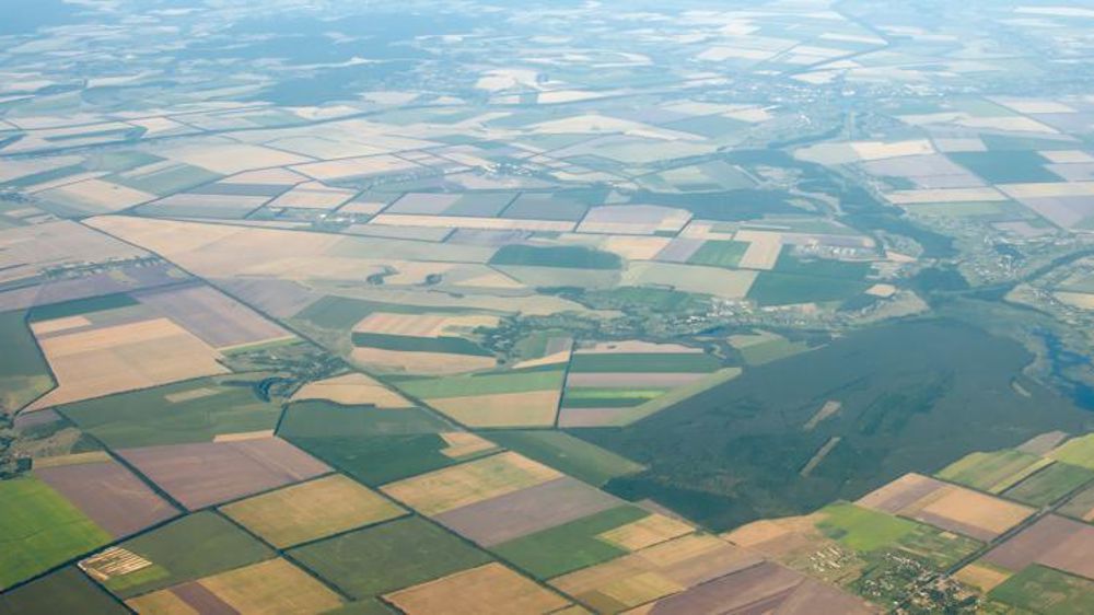 © Popsuievych/Shutterstock.com