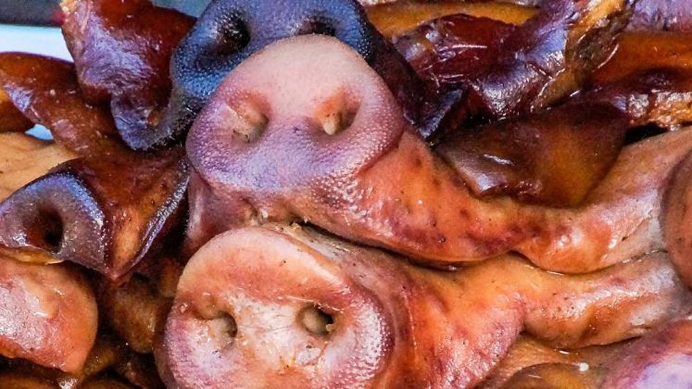 La FAO appelle à un renforcement des mesures de sécurité sanitaire pour faire barrage à la PPA, la peste porcine africaine. © Pixabay