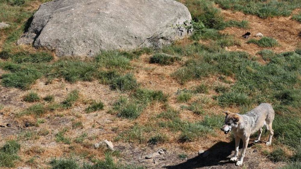 © M.-F. Malterre/GFA