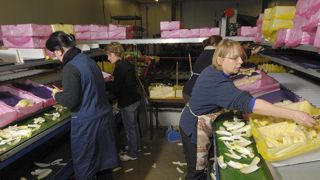La prime pourra faire l’objet d’une avance, mais le solde doit être réglé avant la fin de l’année 2020. © S. Leitenberger La prime pourra faire l’objet d’une avance, mais le solde doit être réglé avant la fin de l’année 2020. © S. Leitenberger