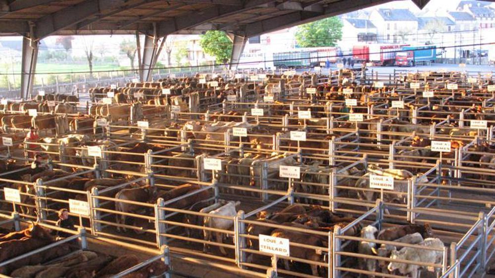 Photo d’illustration. © E. Roussel/GFA