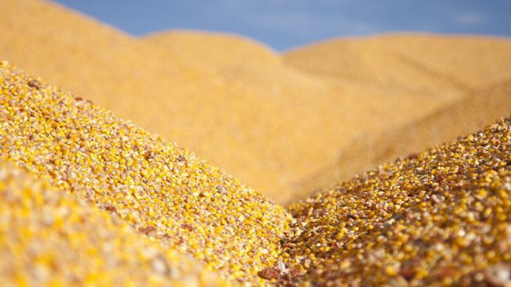 Photo d’illustration. © Sébastien Champion