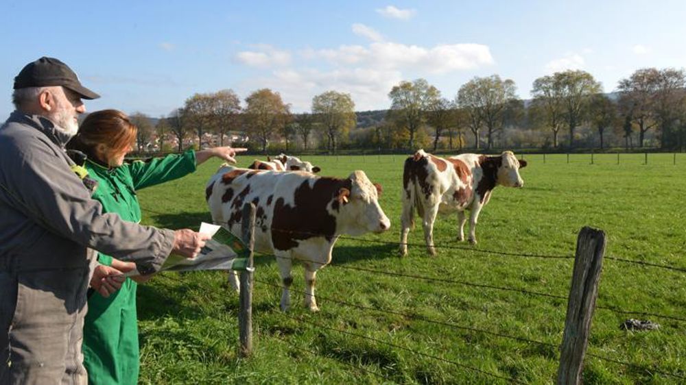 En Bretagne, 52 % des agriculteurs partiront à la retraite dans les dix ans et la Région compte une installation pour quatre départs. © Jean-Pierre Amet