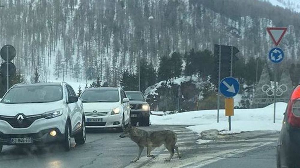 © Facebook/Christian Farina