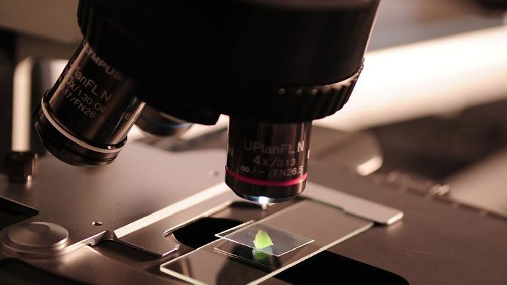 Photo d’illustration. © Pixabay