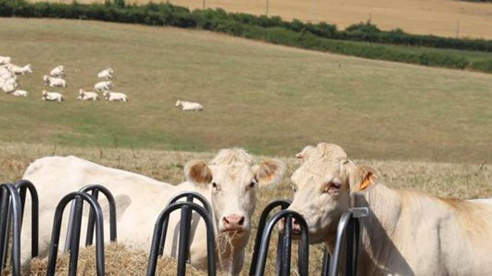 © M.-F. Malterre/GFA