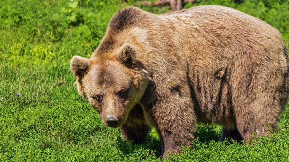 Photo d’illustration. © Pixabay