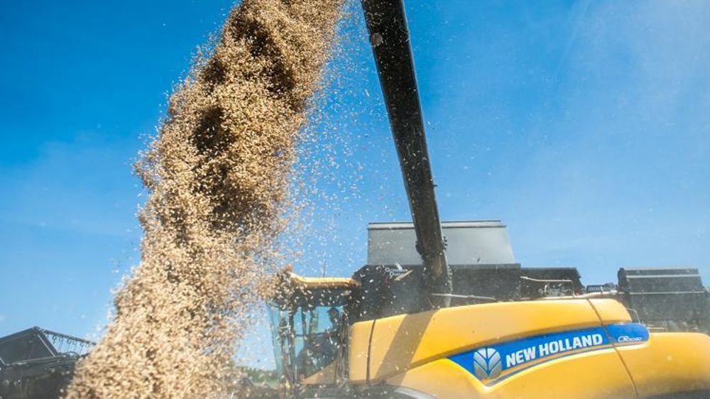 © Jean-Michel Nossant