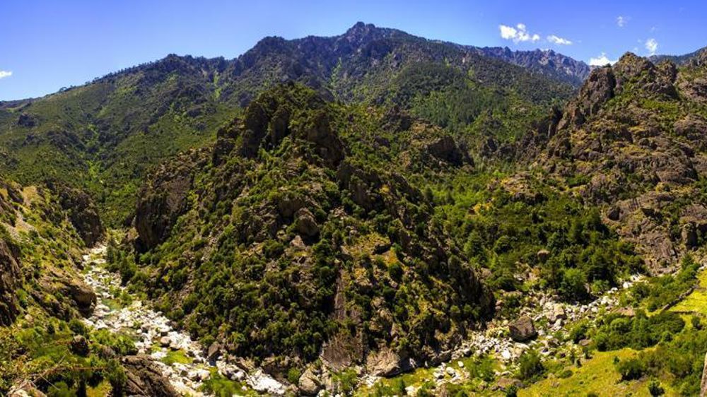 La Draaf de la Corse annonce des visites d’inspecteurs dans la majorité des 373 exploitations où des anomalies ont été détectées concernant les surfaces déclarées pour l’obtention d’aides Pac. © Pixabay