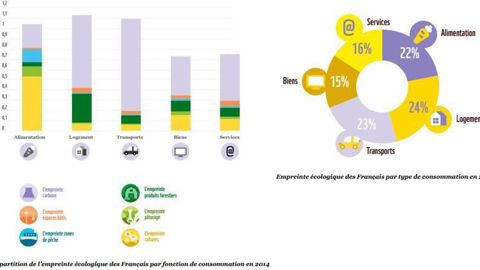 © WWF France