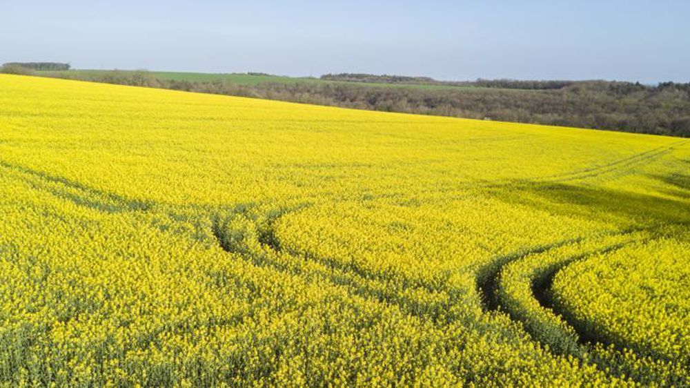 © Cédric Faimali/GFA