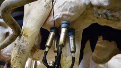 Le prix de revient du lait conventionnel produit en zone de plaine est estimé à 405 €/1 000 litres en 2020. © Cédric Faimali/GFA Le prix de revient du lait conventionnel produit en zone de plaine est estimé à 405 €/1 000 litres en 2020. © Cédric Faimali/GFA