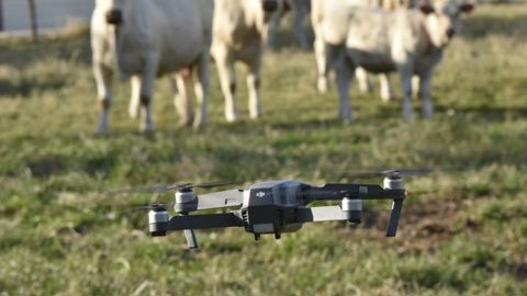 La capacité du fonds européen (PDRH) à soutenir l’innovation et la conduite du changement apparaît « insuffisante », rapporte Agreste d’après une évaluation menée par deux bureaux d’études. © Cédric Faimali/GFA La capacité du fonds européen (PDRH) à soutenir l’innovation et la conduite du changement apparaît « insuffisante », rapporte Agreste d’après une évaluation menée par deux bureaux d’études. © Cédric Faimali/GFA