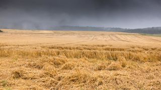 La réforme de l’assurance récolte a pour objectif de mieux couvrir les pertes agricoles dues aux aléas climatiques. © Claudius Thiriet La réforme de l’assurance récolte a pour objectif de mieux couvrir les pertes agricoles dues aux aléas climatiques. © Claudius Thiriet