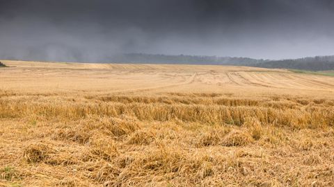 La réforme de l’assurance récolte a pour objectif de mieux couvrir les pertes agricoles dues aux aléas climatiques. © Claudius Thiriet La réforme de l’assurance récolte a pour objectif de mieux couvrir les pertes agricoles dues aux aléas climatiques. © Claudius Thiriet