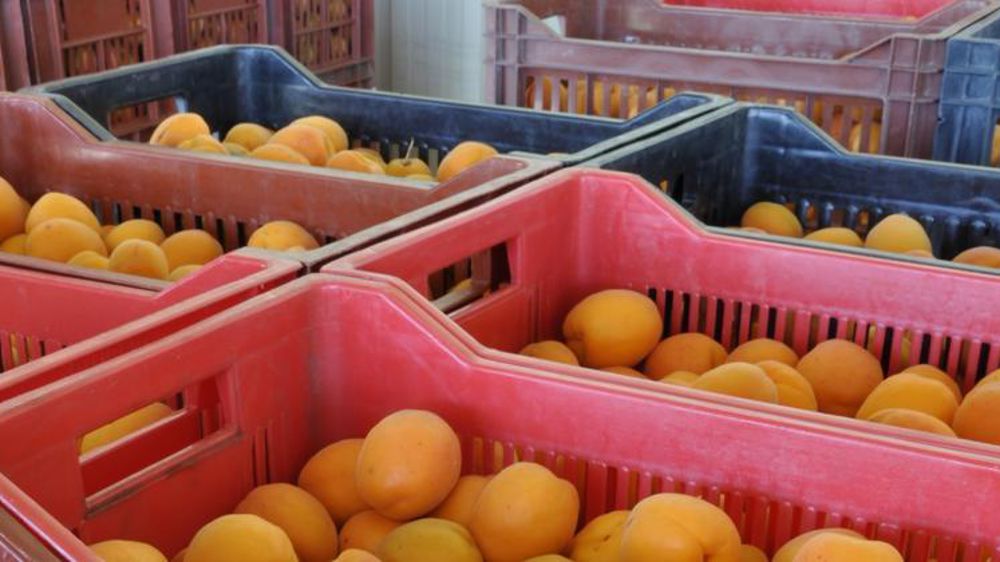 © Philippe Dufour/Interfel