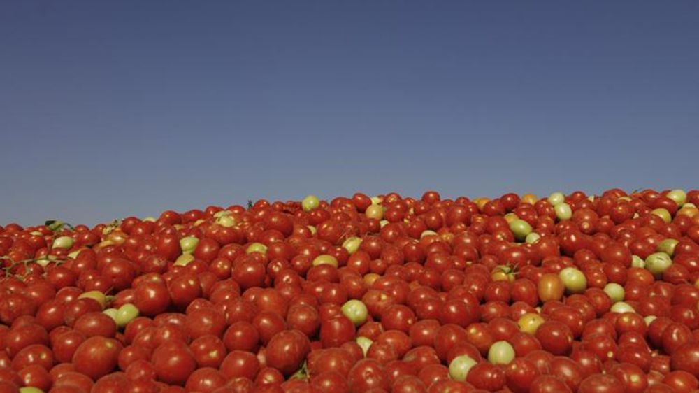 © Jean-Claude Grelier/GFA