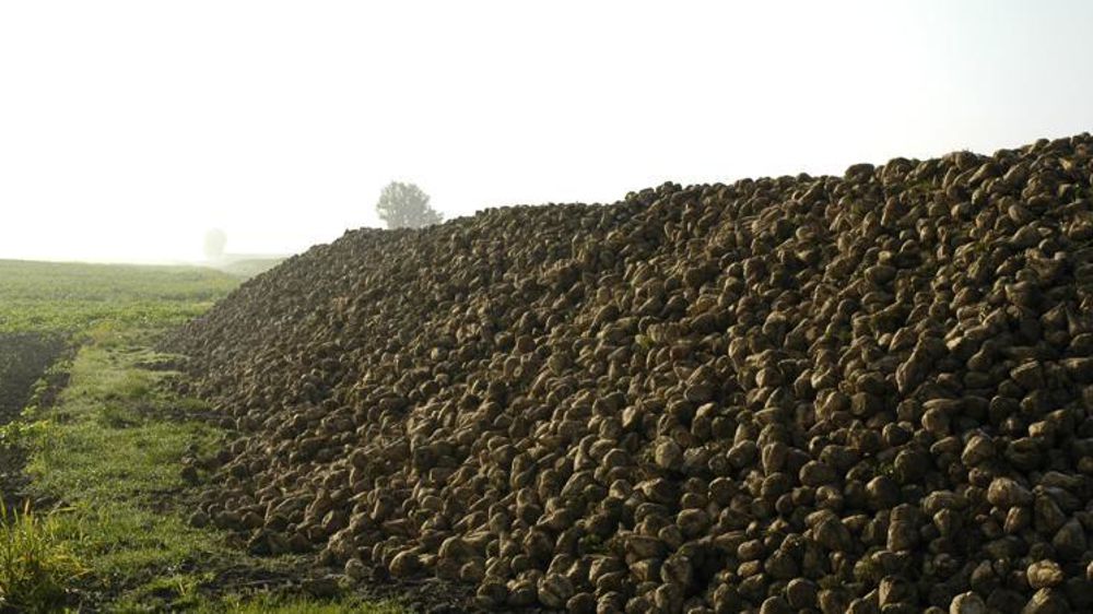 © Pascal Crapon/GFA