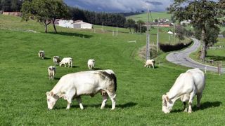 Les agriculteurs pourront faire leurs demandes d’aides Pac animales pour la campagne de 2022 dès le 1er janvier prochain. © Jean-François Marin/GFA Les agriculteurs pourront faire leurs demandes d’aides Pac animales pour la campagne de 2022 dès le 1er janvier prochain. © Jean-François Marin/GFA