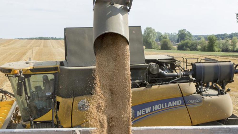 Le prix du blé a été soutenu cette semaine. © Christian Watier