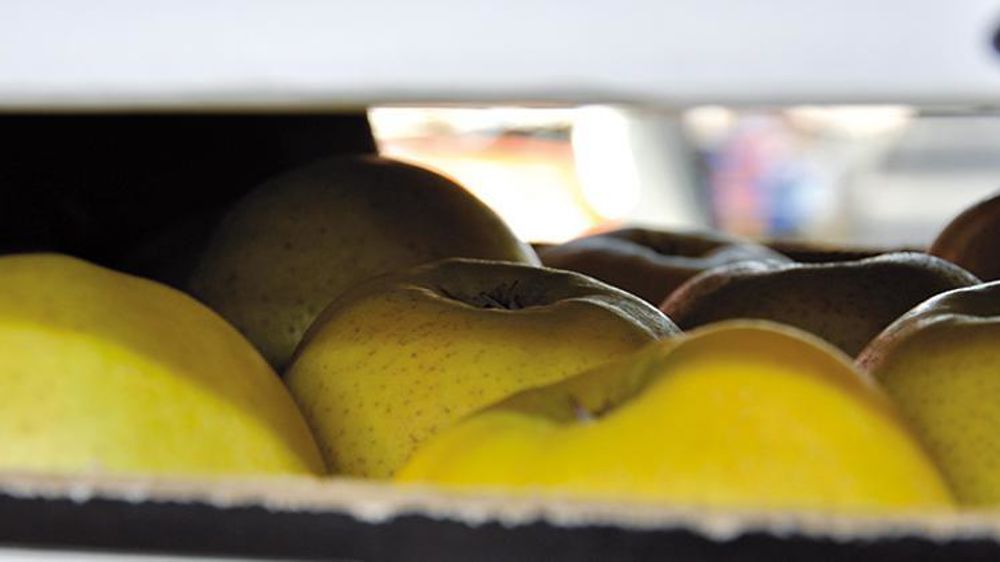 © P. Dufour/Interfel