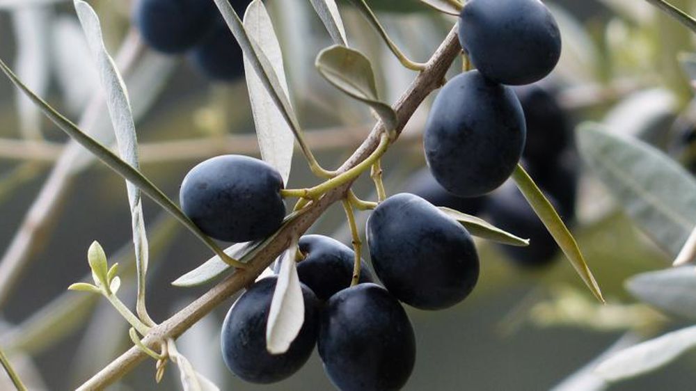 Photo d’illustration. © Pixabay