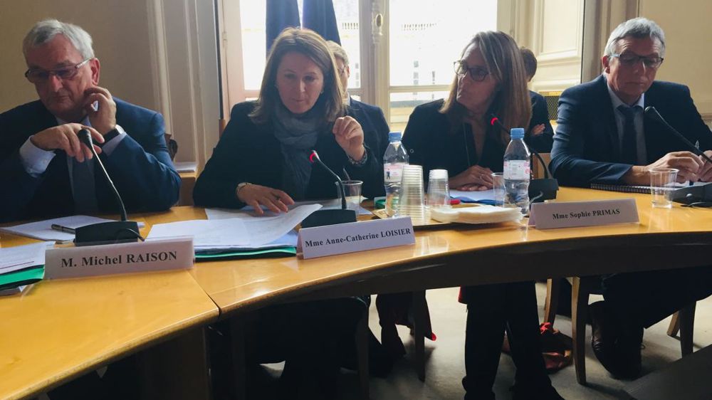 Michel Raison, sénateur de la Haute-Saône, Anne Catherine Loisier, sénatrice de la Côte-d’Or, Anne Sophie Primas, sénatrice des Yvelines et présidente de la commission des affaires économiques, et Daniel Gremillet, sénateur des Vosges, le 5 novembre 2019. © B. Quantinet/GFA