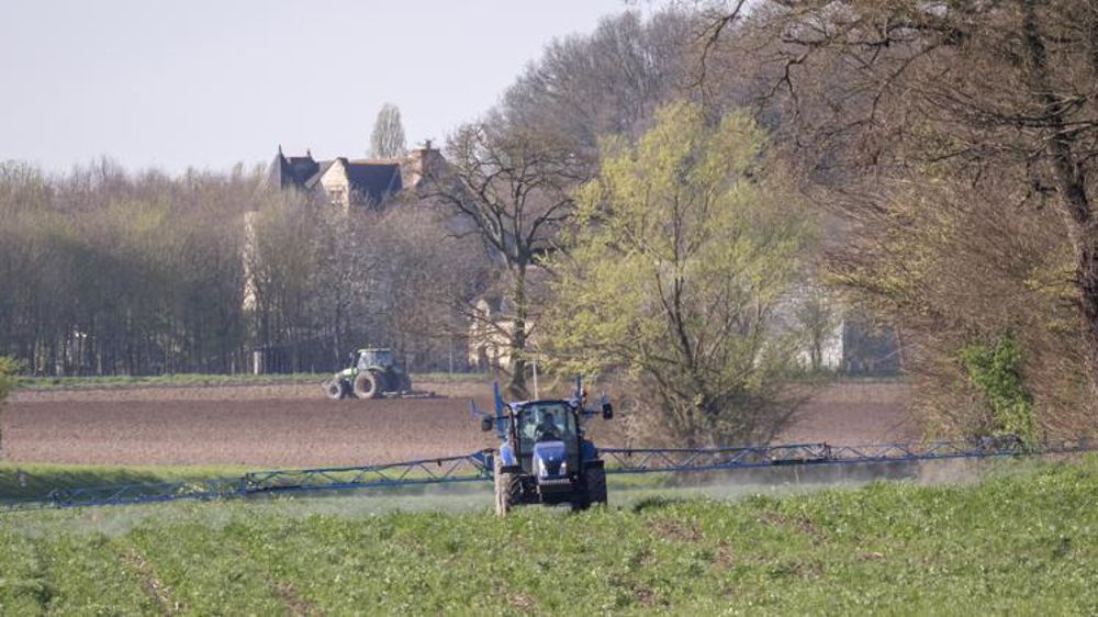 Dans le rapport sur l’évaluation du plan de sortie du glyphosate qui a fuité ce week-end, les députés demandent au gouvernement de préciser rapidement la liste des cultures qui bénéficieront d’une dérogation. © C. Watier